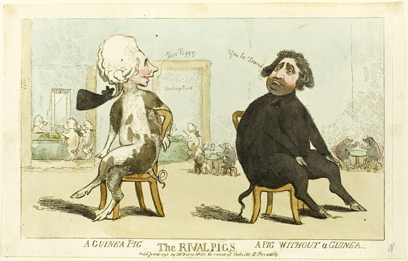 The Rival Pigs