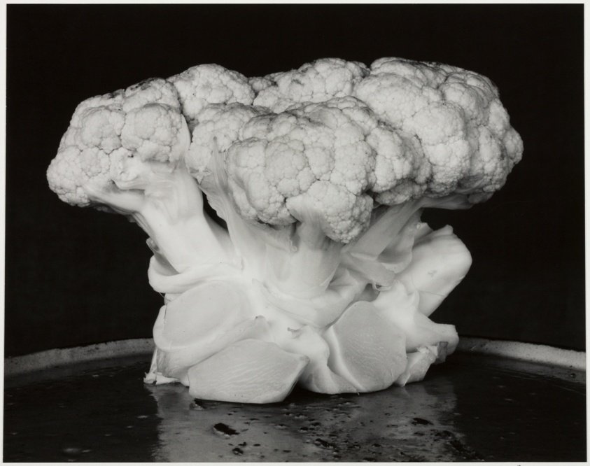 Cauliflower by Edward Weston