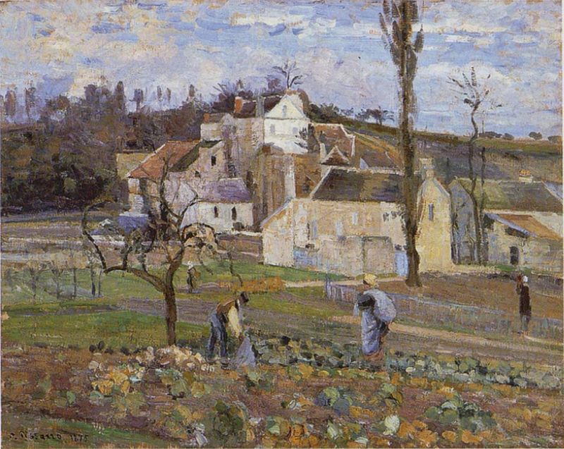 Cabbage Patch Near the Village