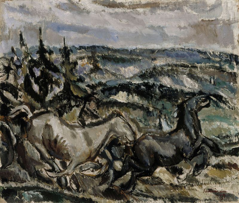 The Race
