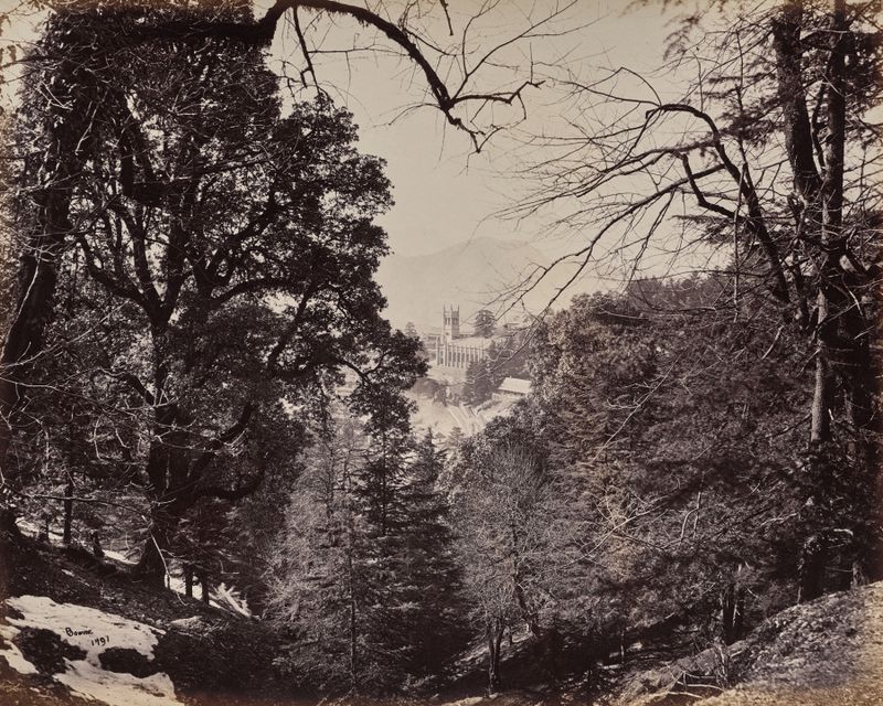 Shimla. The Church Through the Trees, from Jakko