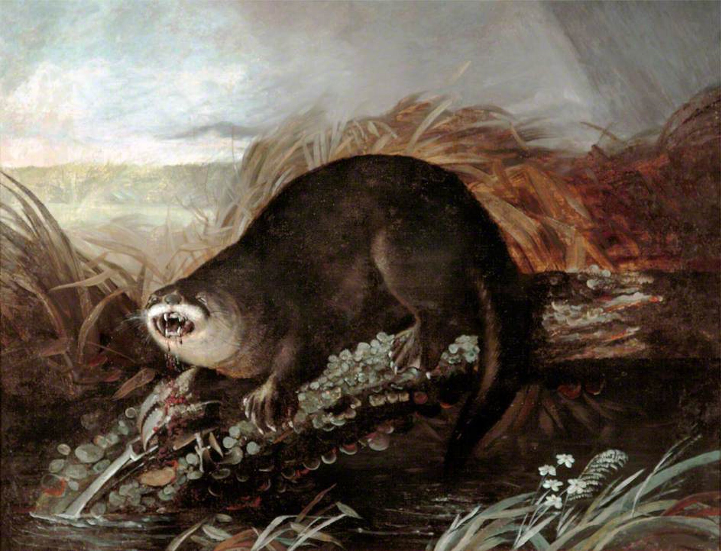 Otter Caught in a Trap by John James Audubon