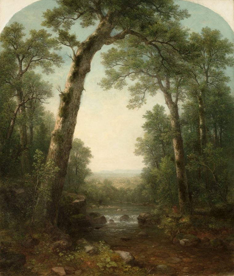 Forest Stream with Vista by Asher B. Durand