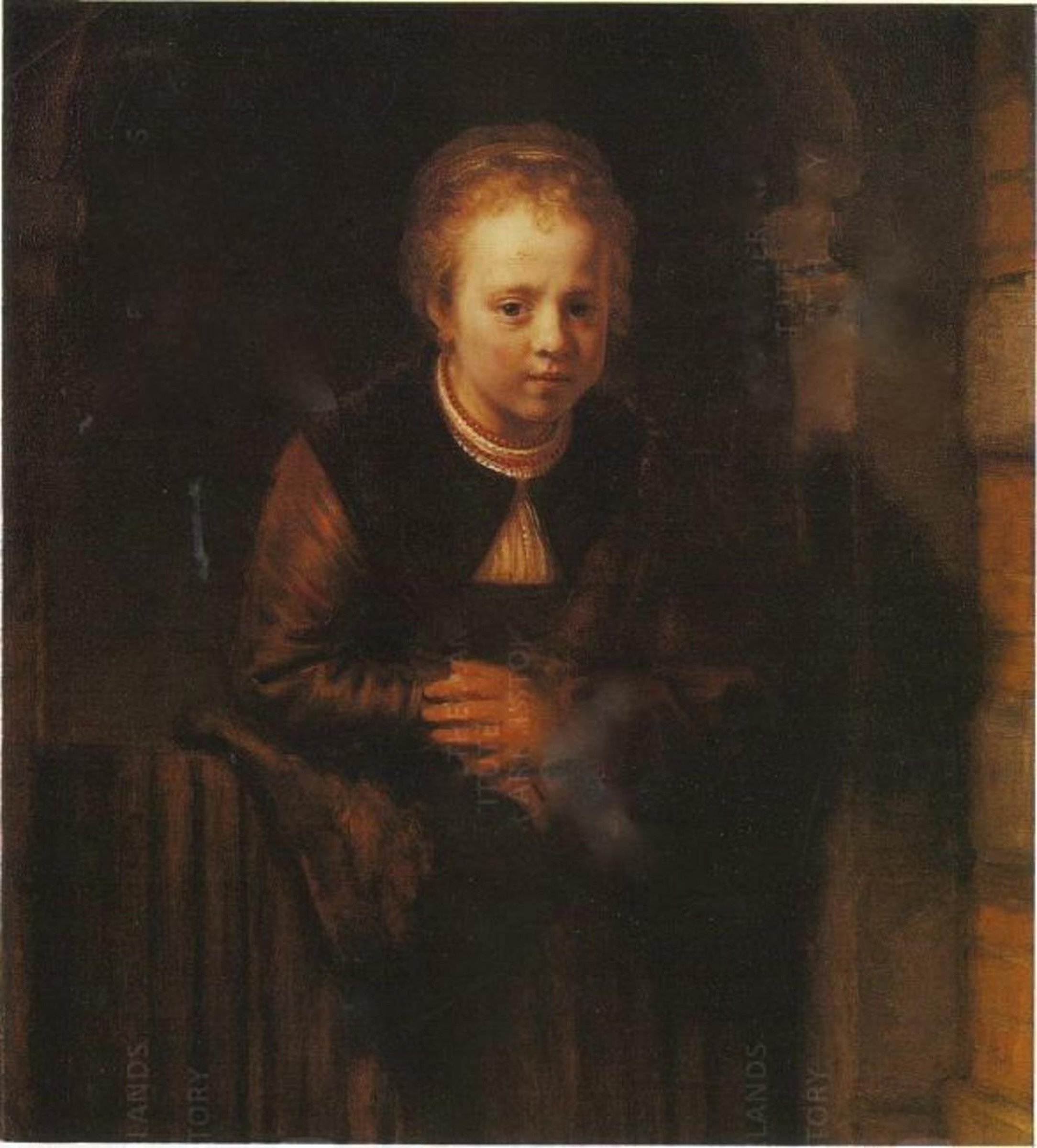 Girl at a half-open door by Samuel van Hoogstraten