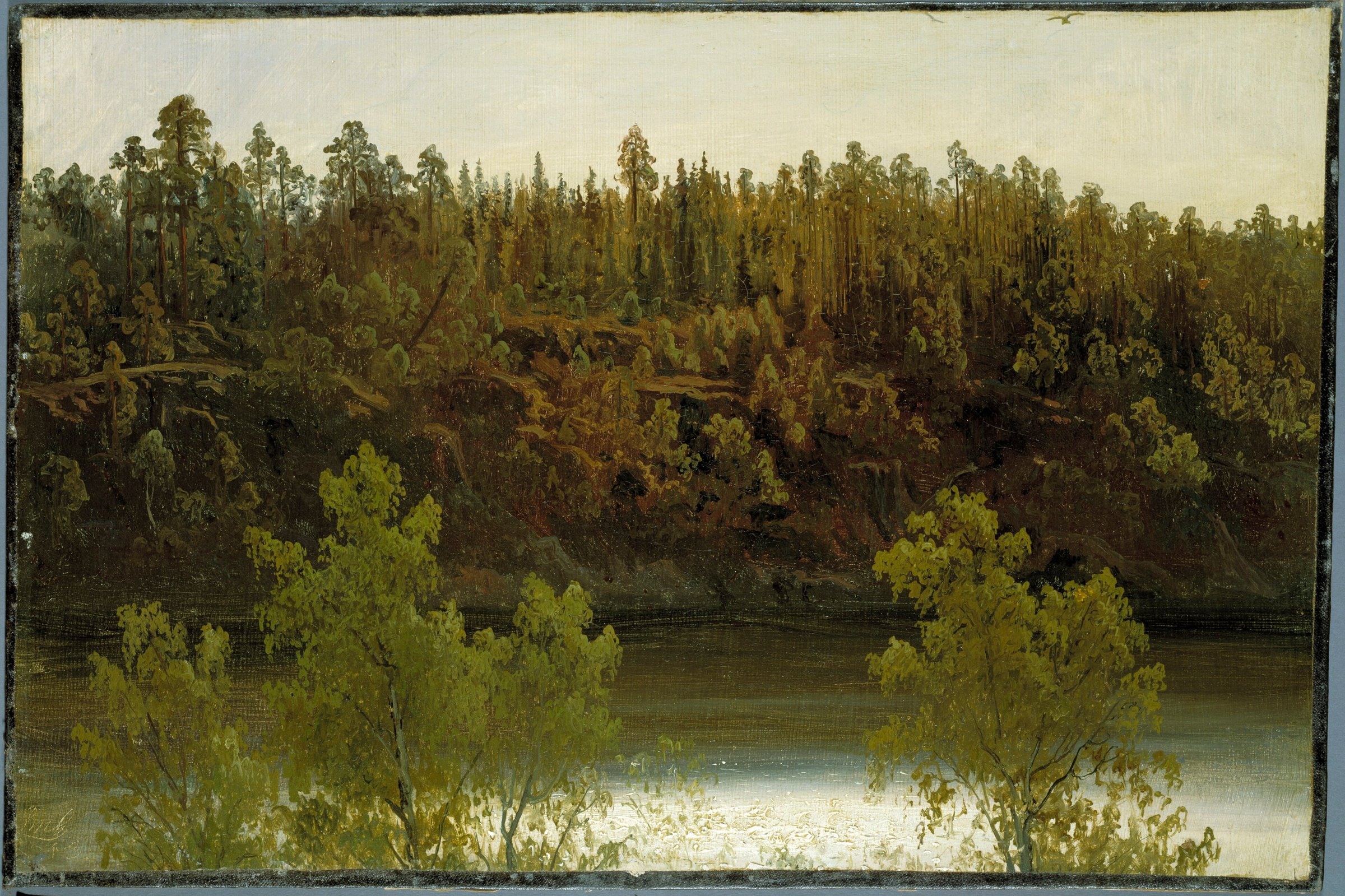 Swedish Lake. Study by Marcus Larson