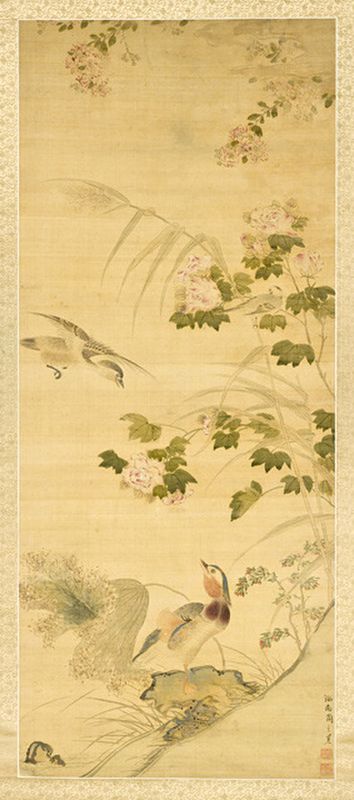 Flowers and Birds