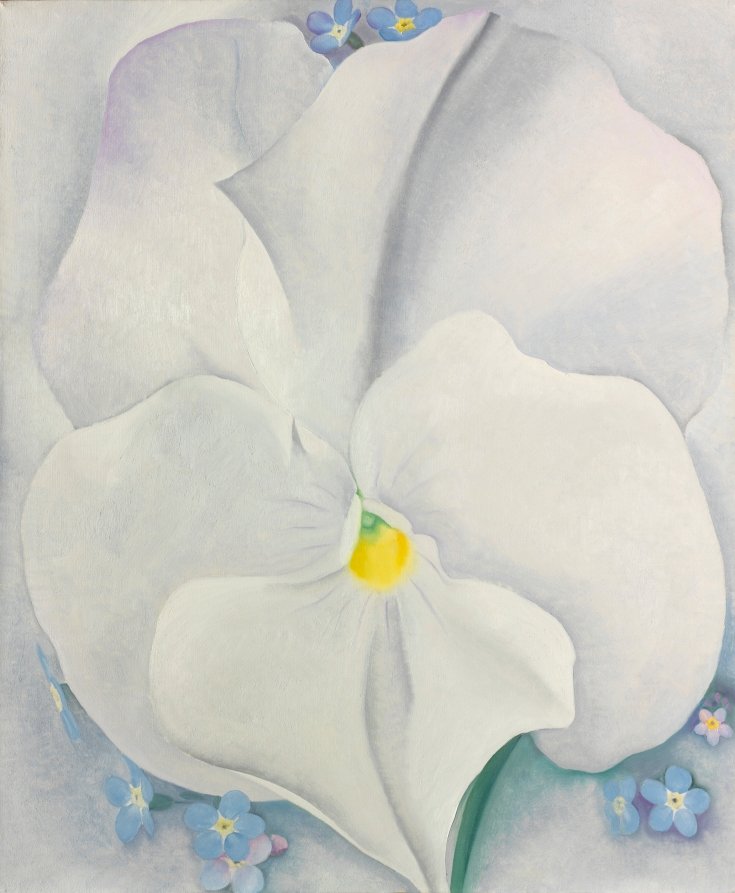 White Pansy by Georgia O'Keeffe
