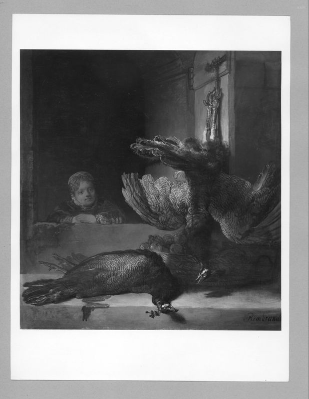 Still Life with Peacocks
