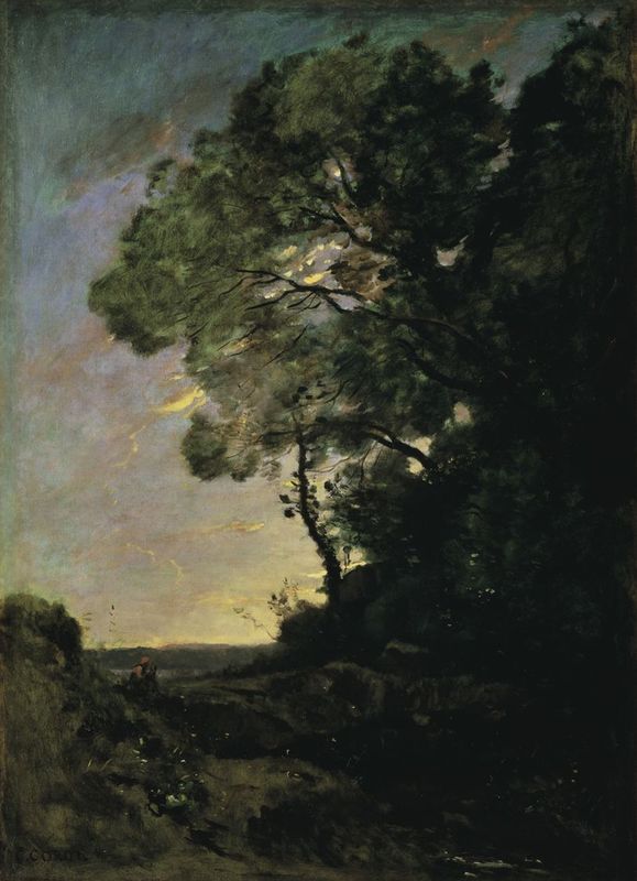 Tree landscape (evening)