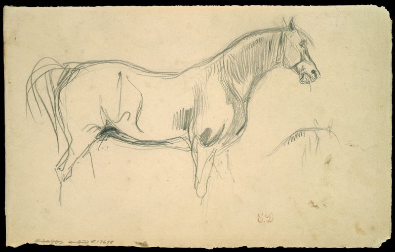 Studies of a Horse in Profile
