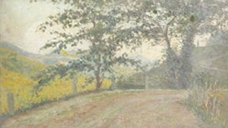 Wooded landscape with a road