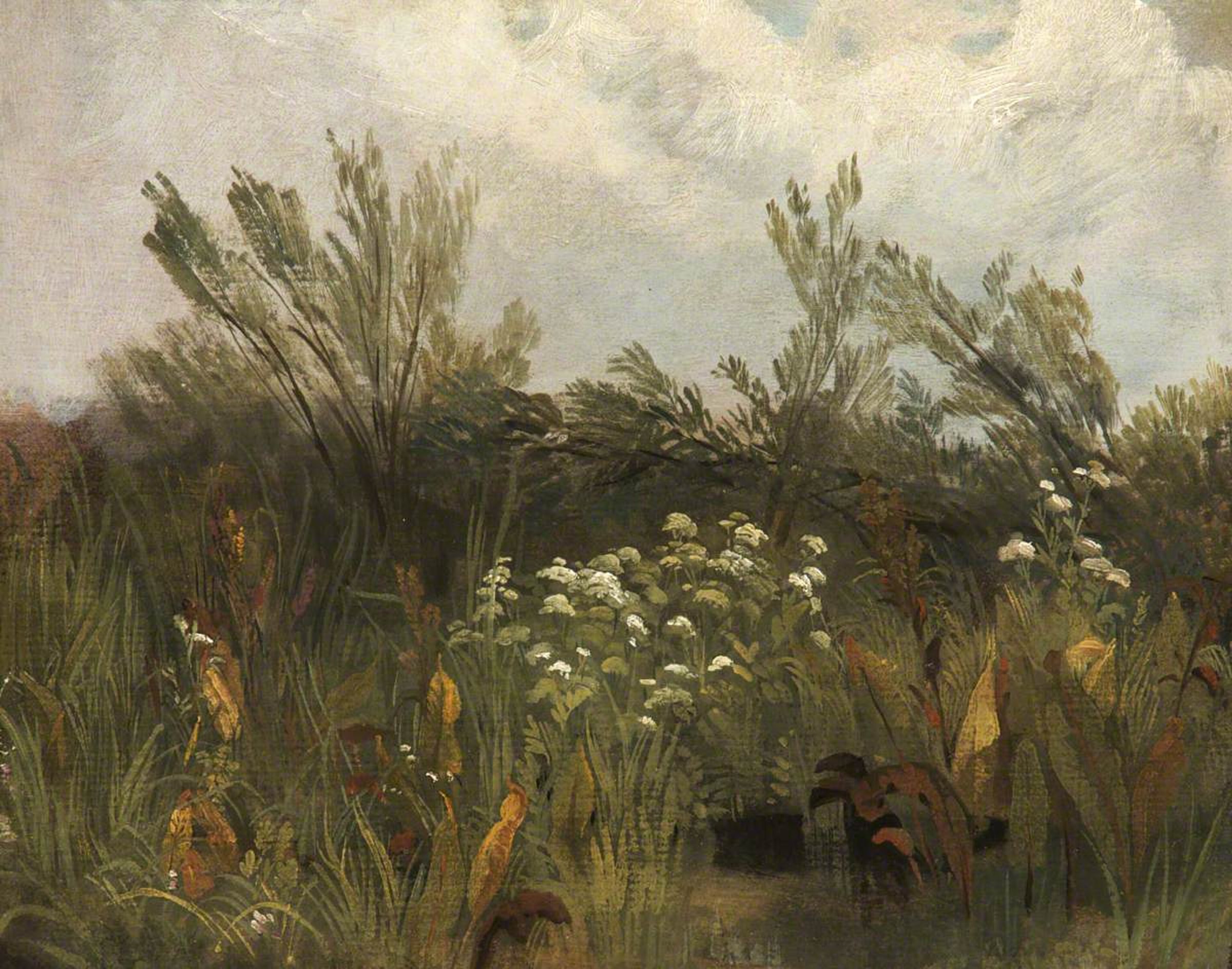Study of Sorrel, Cow Parsley and Willow Saplings by Peter De Wint