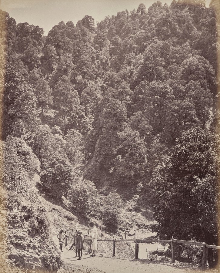 Shimla. View North of Mount Jakko by Samuel Bourne