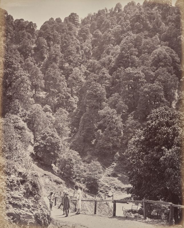 Shimla. View North of Mount Jakko