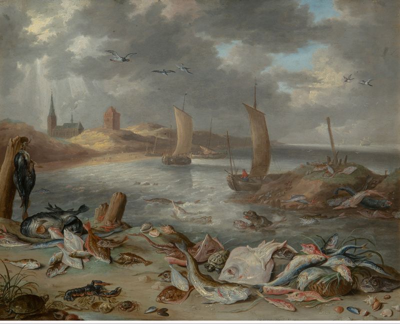 Coast with fish