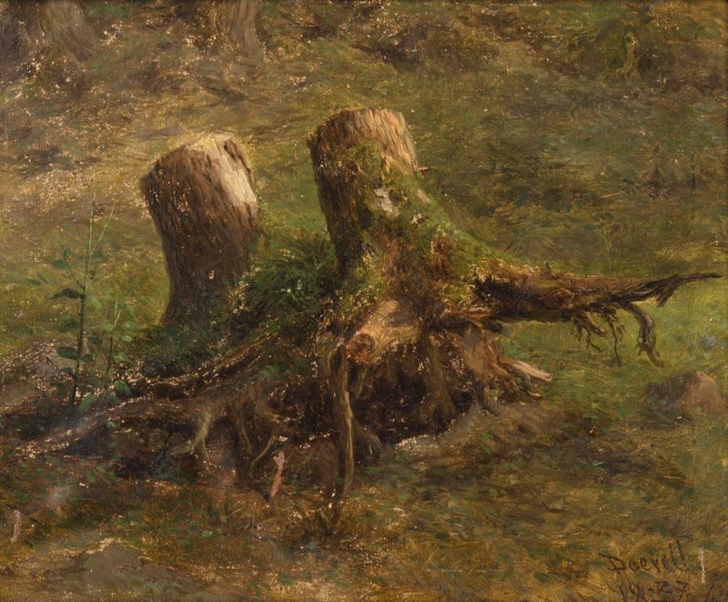 A Study of Tree Stumps