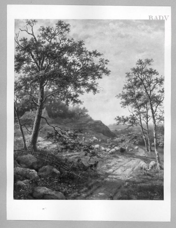 Landscape with Sheep