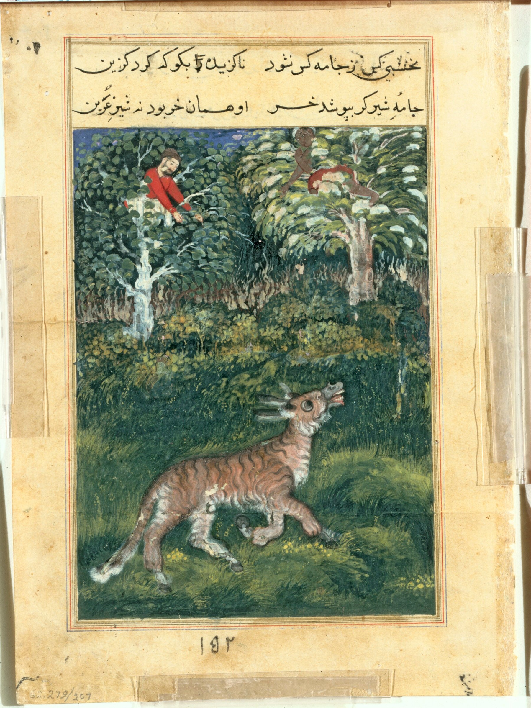 The donkey, in a tiger’s skin, reveals his identity by braying aloud, from a Tuti-nama (Tales of a Parrot): Thirty-first Night — 1560