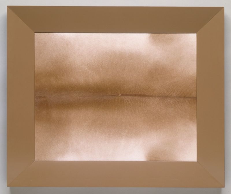 Domestic Abstraction