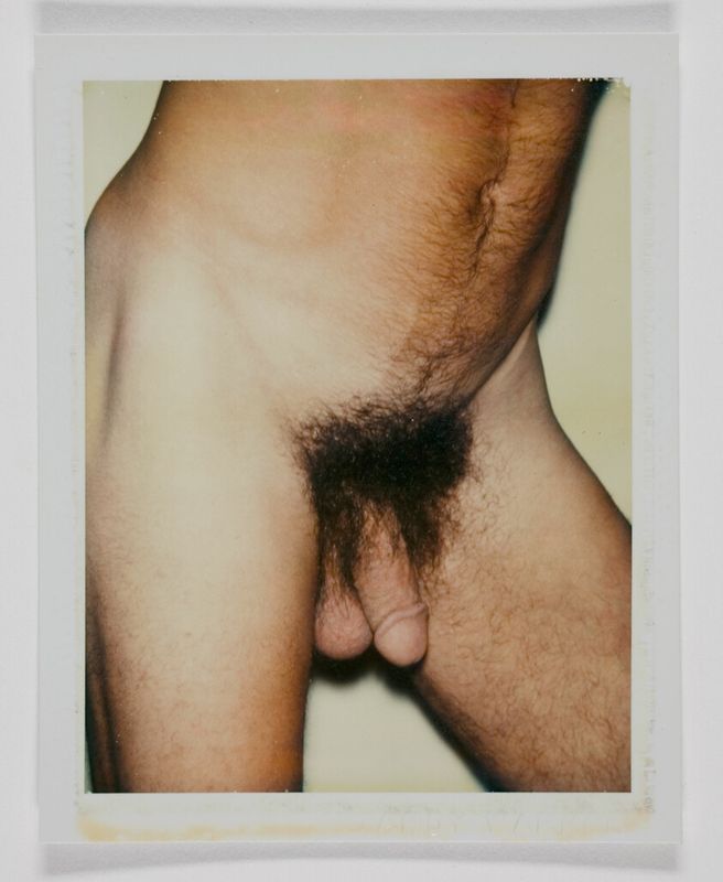 Nude Model (Male)
