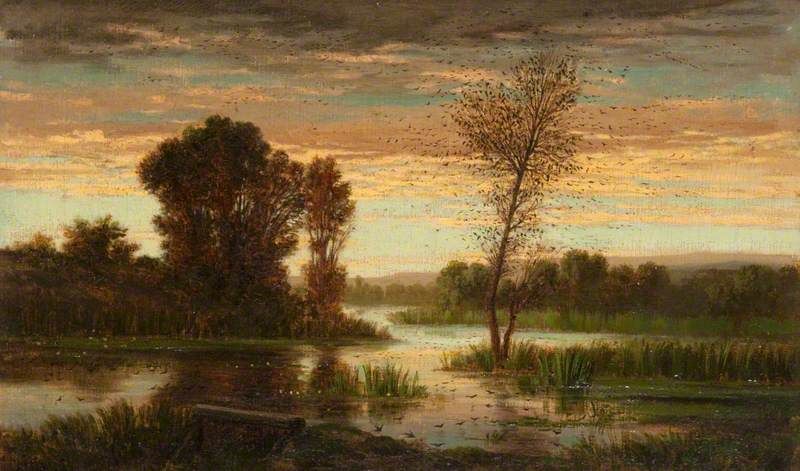 Shades of Evening