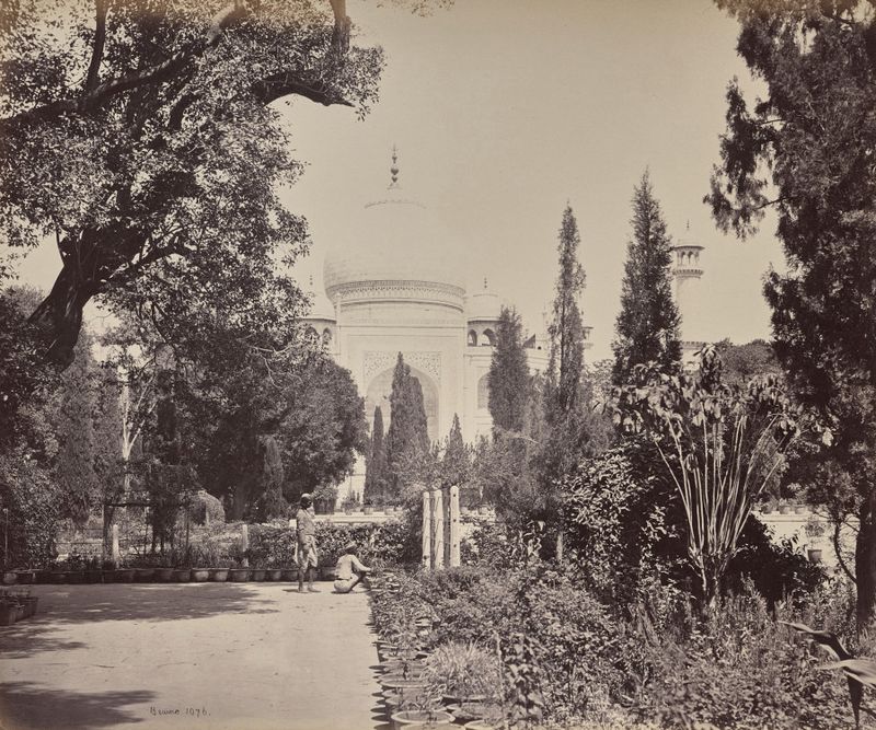Agra. View of the Taj from the Garden