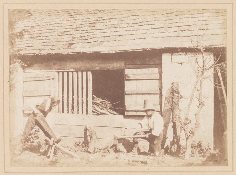 The Woodcutters