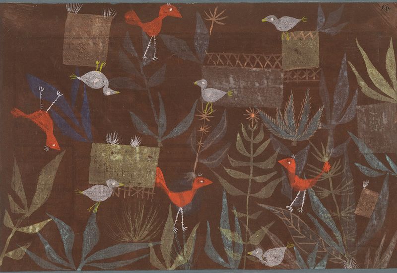 Bird Garden