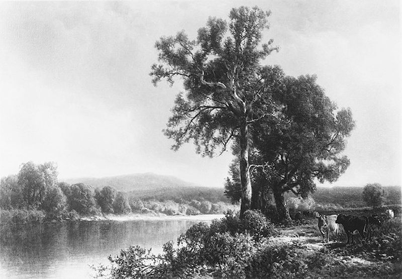 Scene at Napanoch