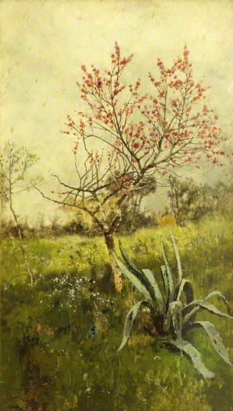Almond Blossom