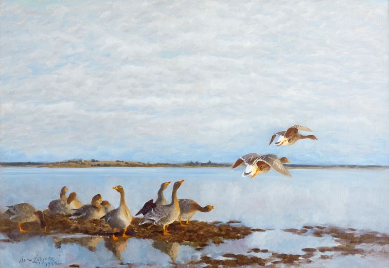 Geese