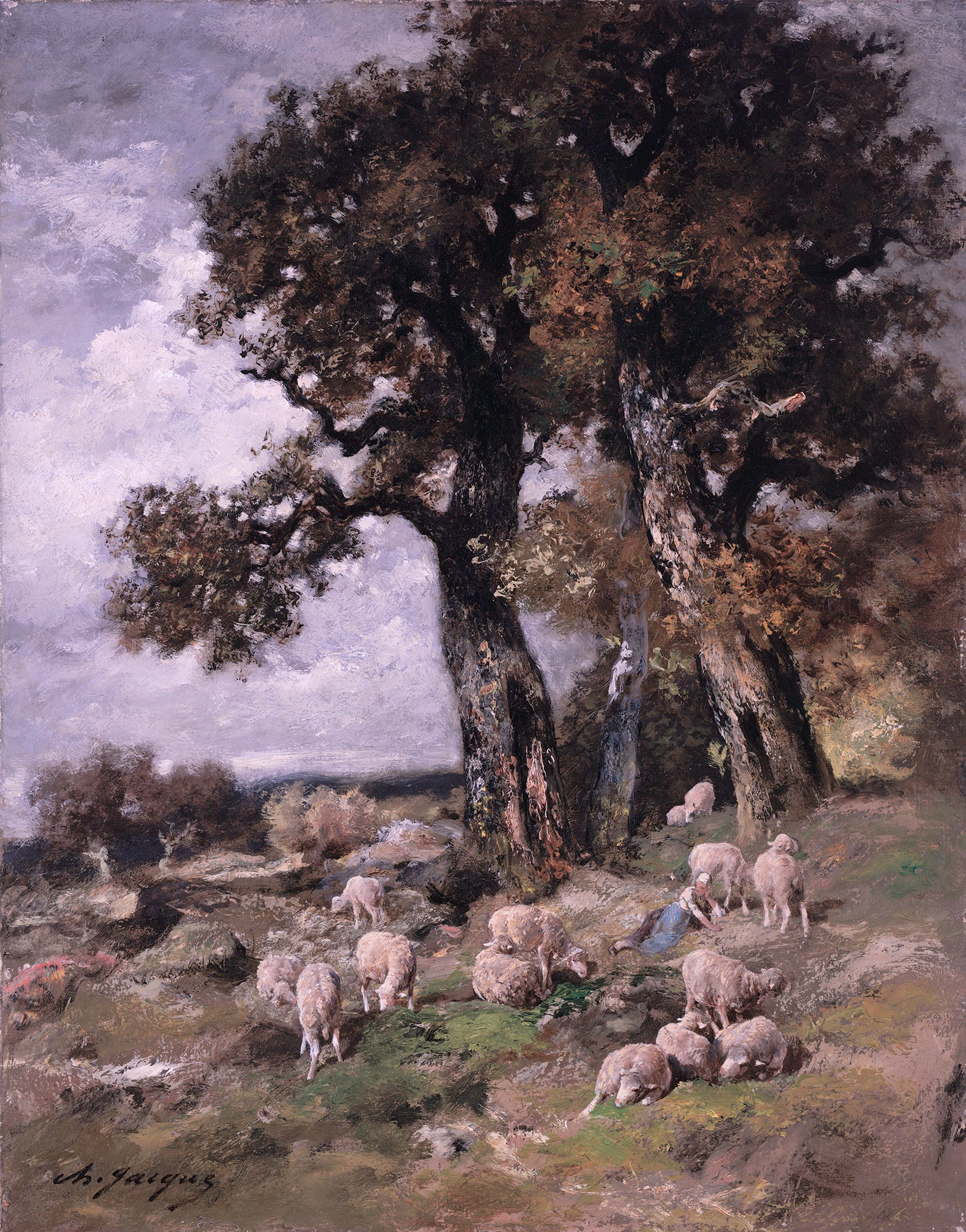 Sheep in the Shelter of the Oaks by Charles-Jacques Comhaire