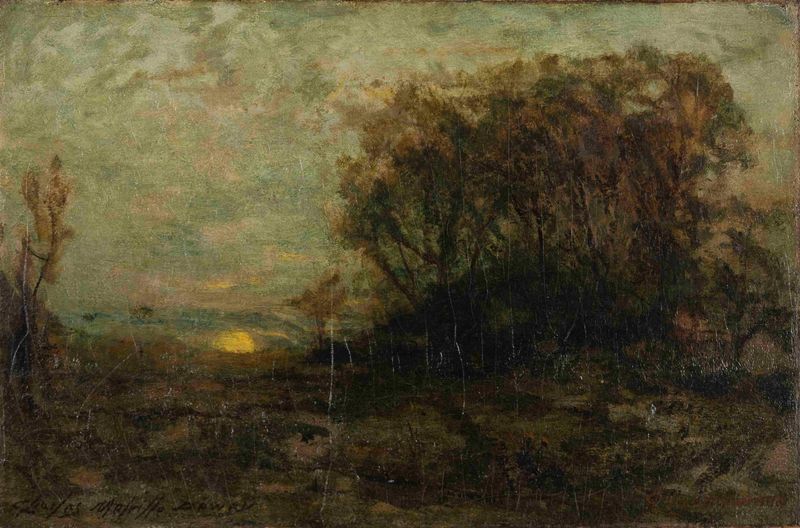 Evening landscape