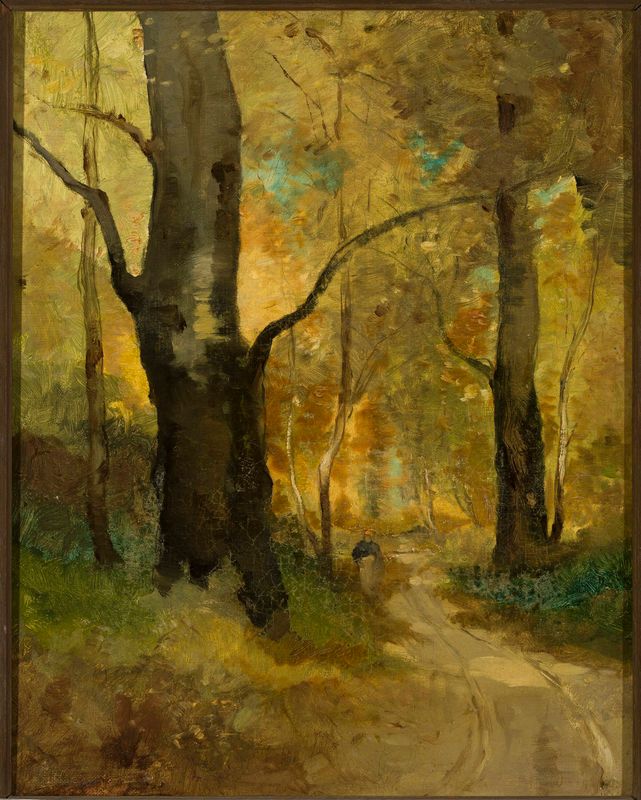 Forest in autumn