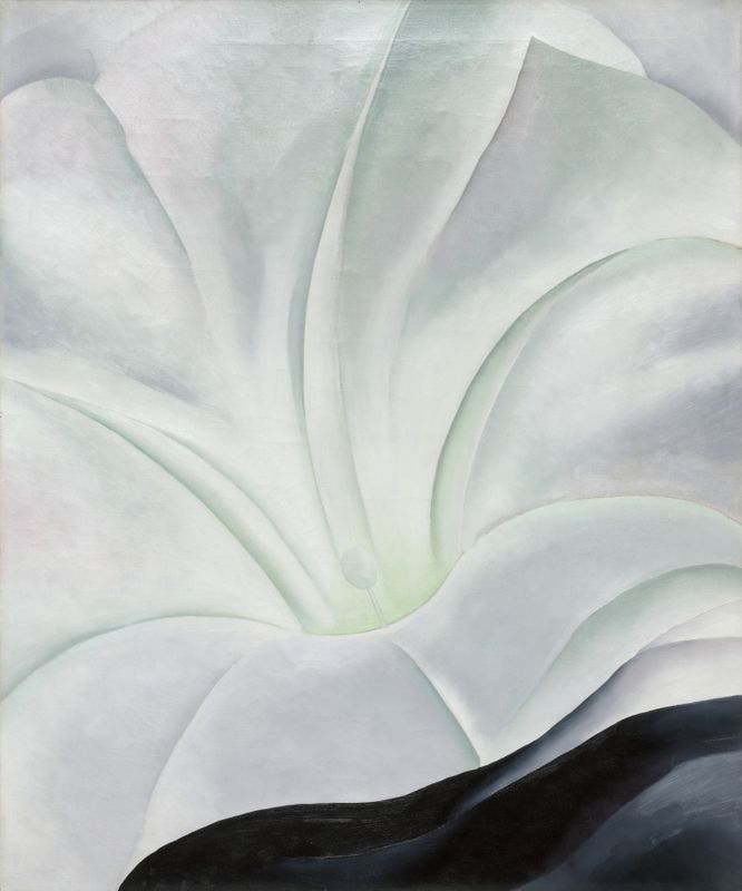 Morning Glory with Black