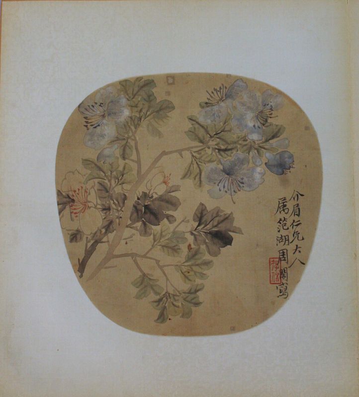 Azalea Flowers