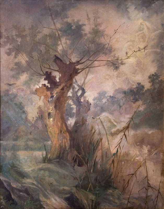 Willows over the swamp