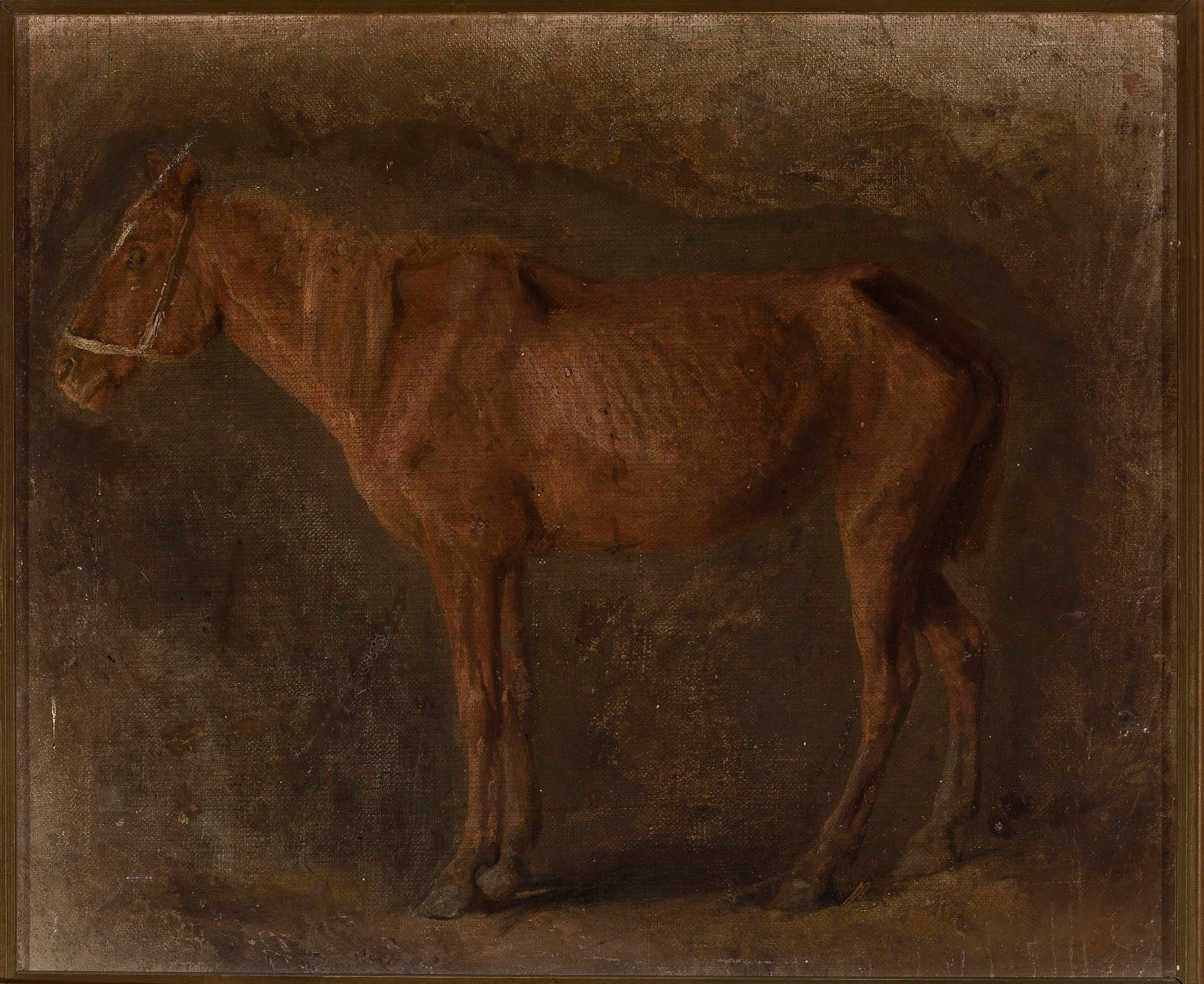 Study of a horse by Józef Chełmoński