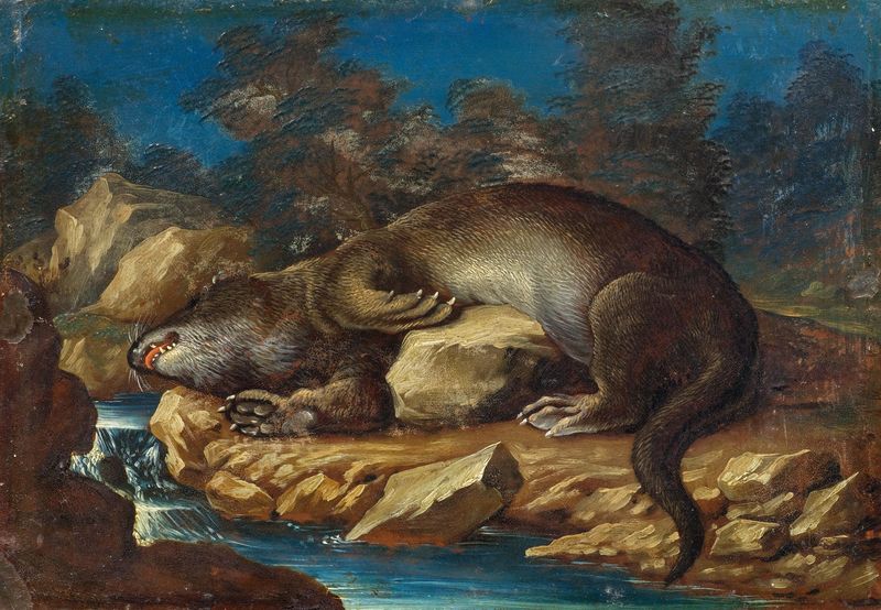 Lying otter on a rocky shore