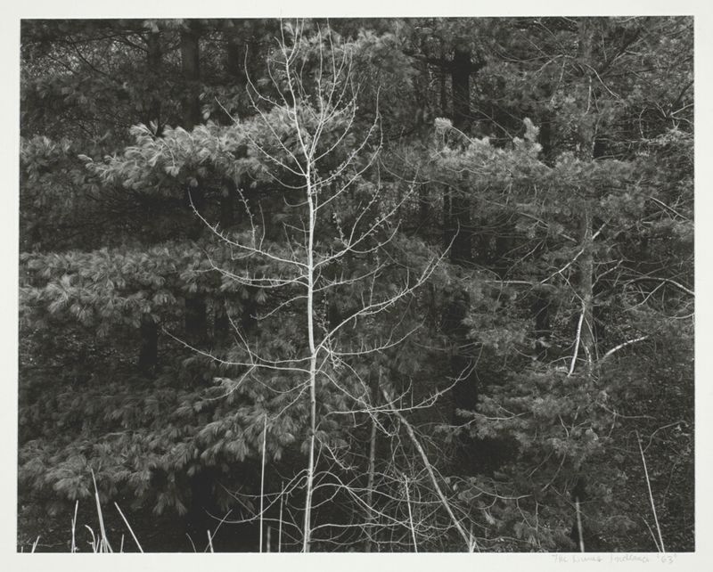 The Dunes, Indiana