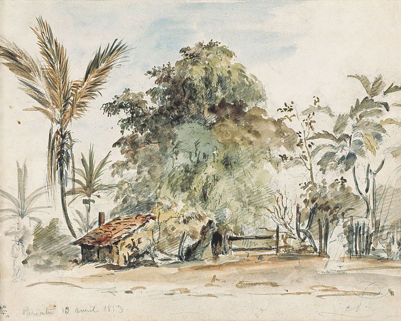 Pariata