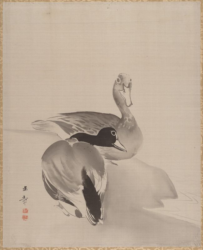 Pair of Ducks