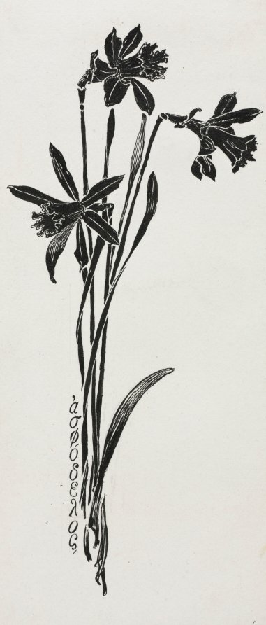 Daffodils by Harry Fenn