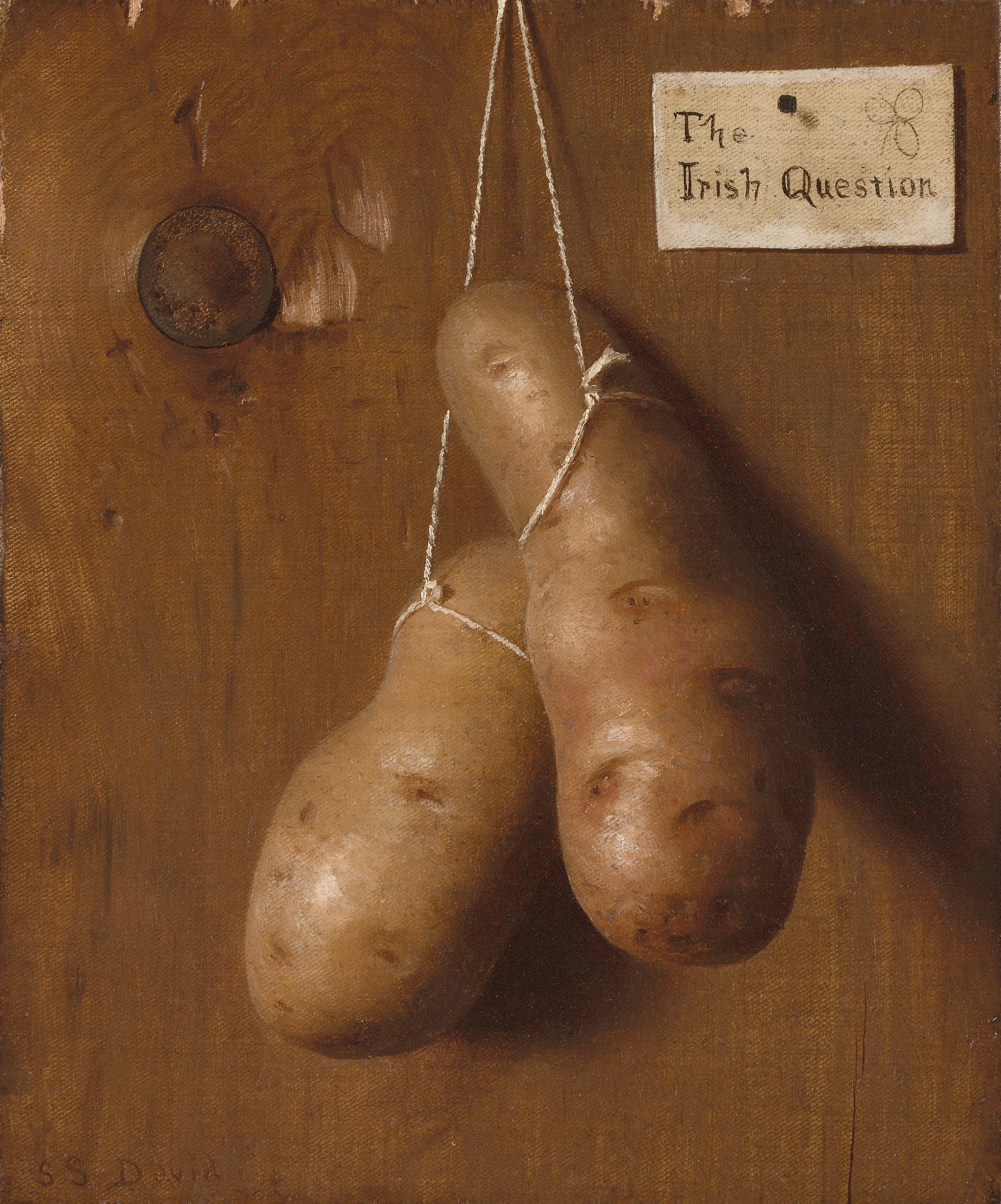 The Irish Question by Jane Wooster Scott