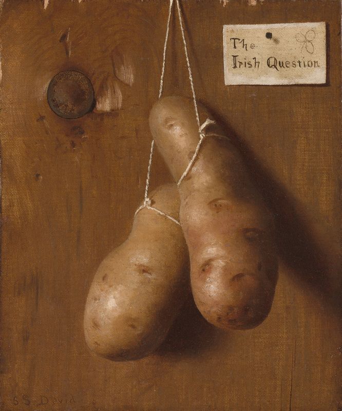 The Irish Question