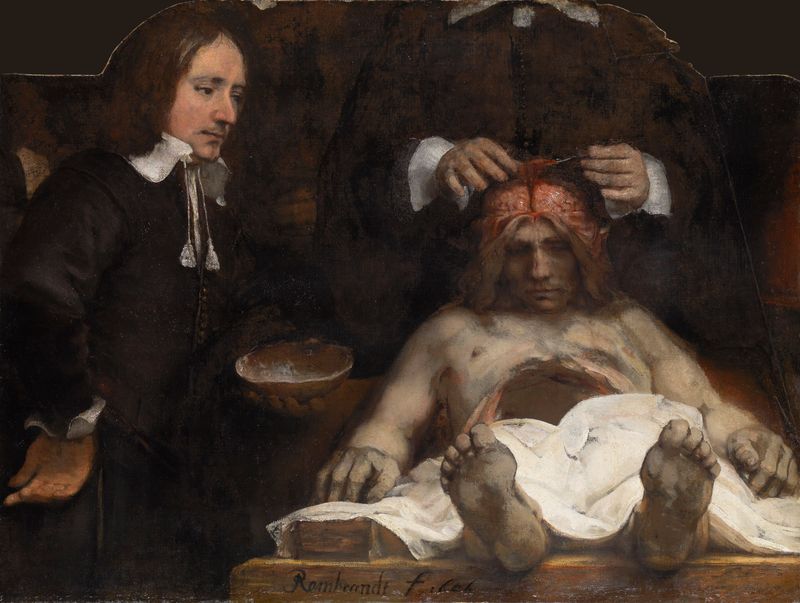 The anatomy lesson of Dr. Joan Deijman
