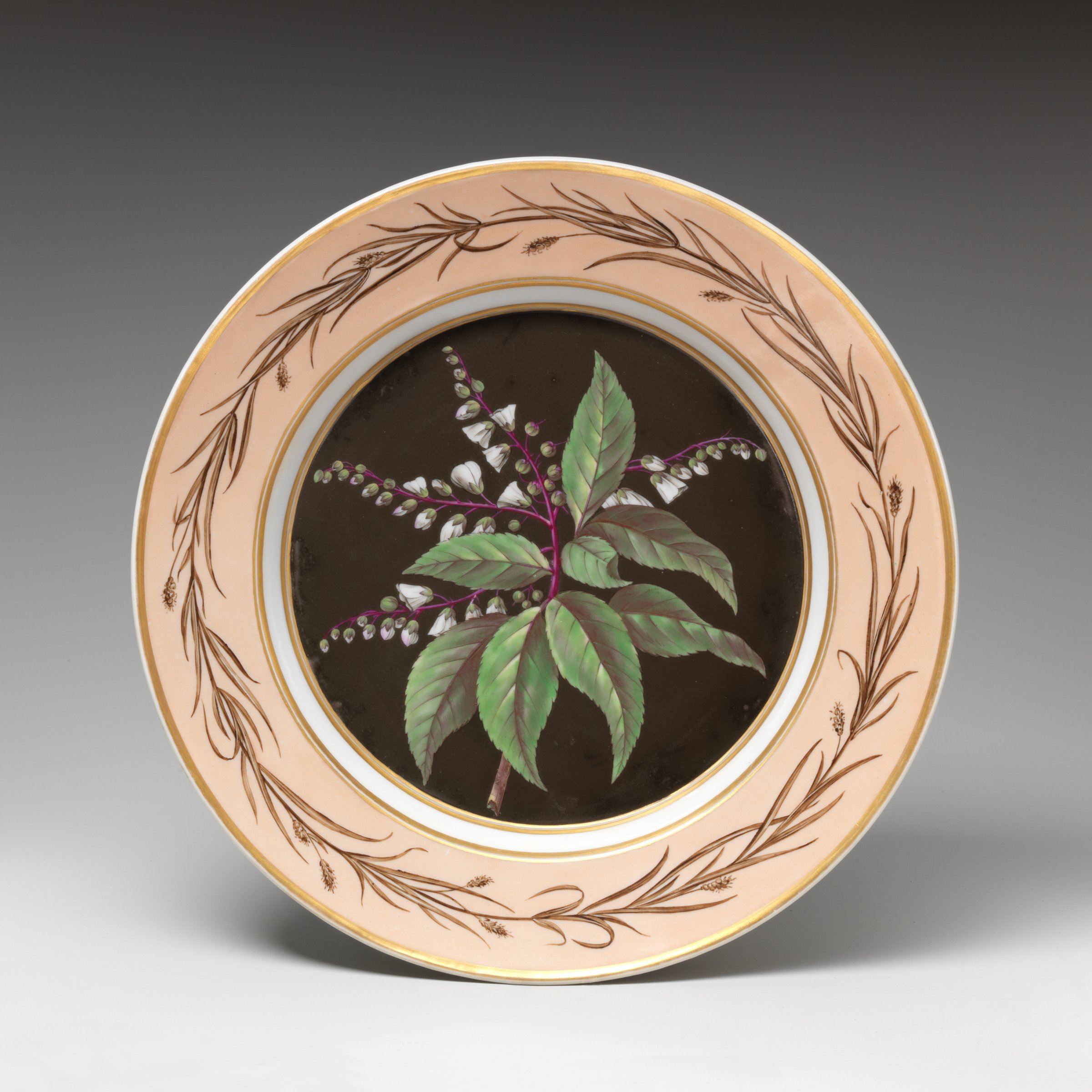 Plate with Lily of the Valley Tree (Clethra arborea) by Höchster Porzellan-Manufaktur