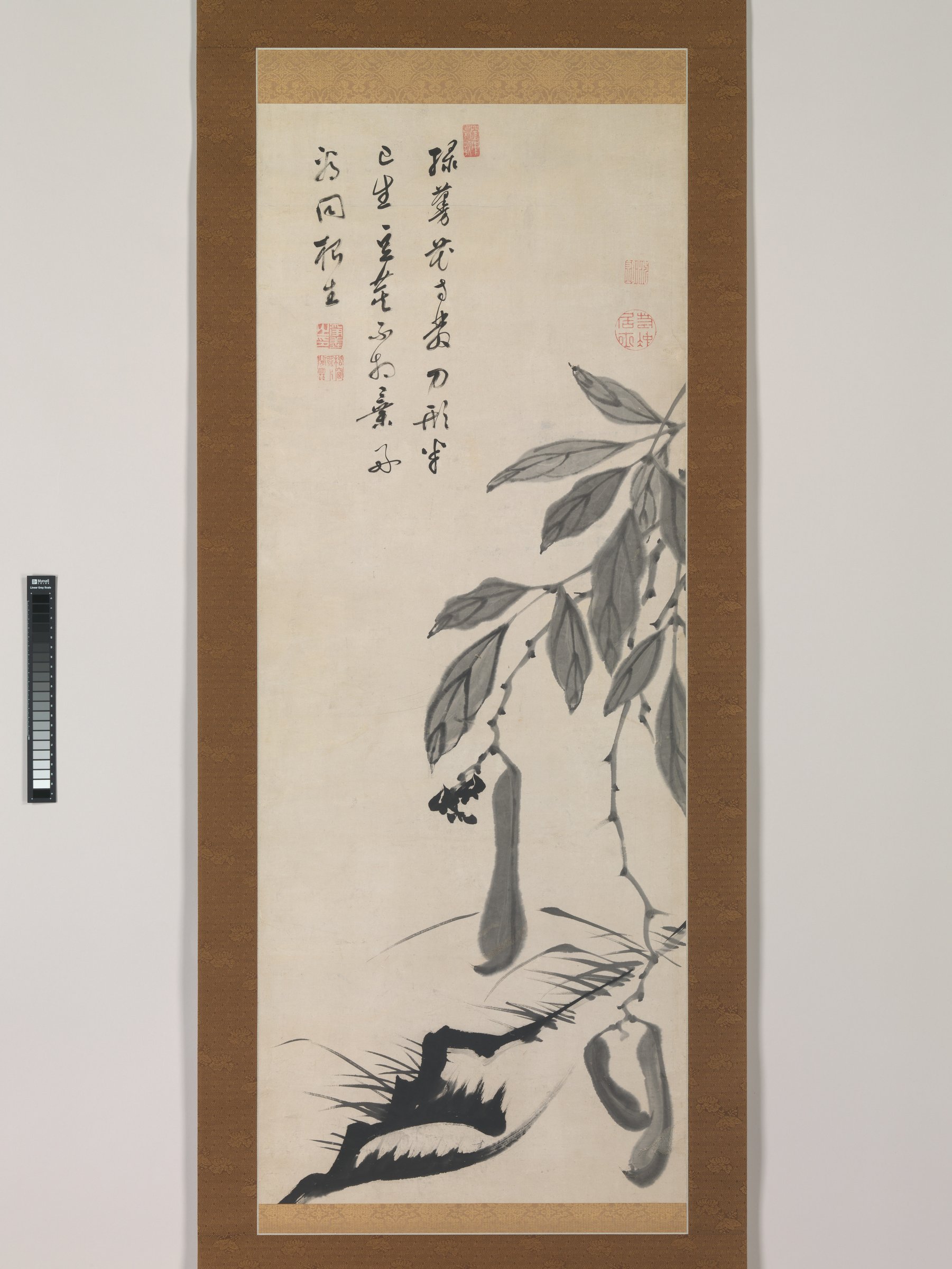 伊藤若冲筆 無染浄善 (丹崖) 賛 豌豆豆図|Bean Vine by Itō Jakuchū