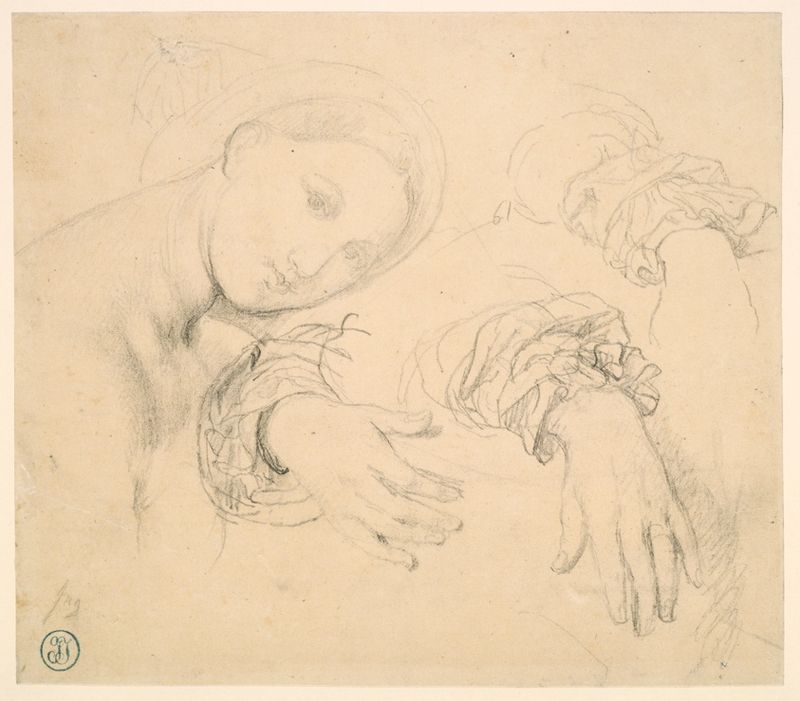 Sheet of Studies with the Head of the Fornarina and Hands of Madame de Senonnes
