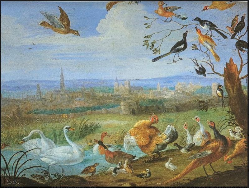 Poultry and birds with a view of Brussels